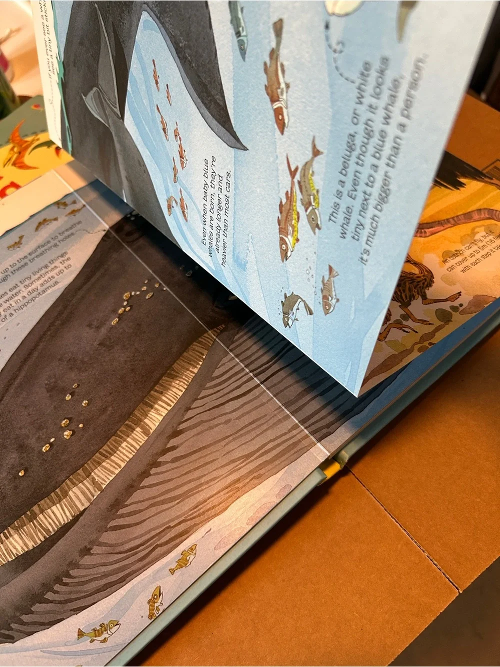Usborne book of Big Animals and Big Dinosaurs